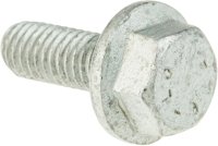 7703002813