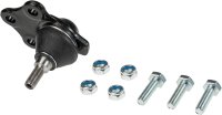 LECAR000220202