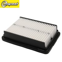 RG28113F2000