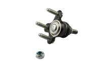 LECAR000210202