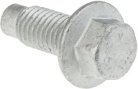 7703002885