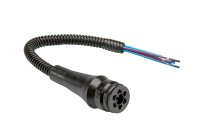 LECAR010140803
