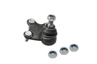 LECAR000190202