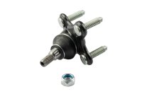 LECAR000200202