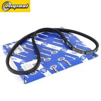RGAVX10X1100