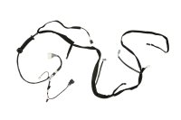 241631964R