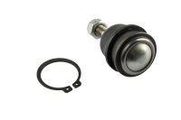 LECAR000130202