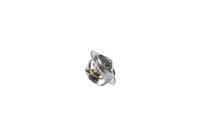 LECAR000060602_1