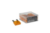 LECAR000100503