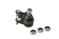 LECAR000180202