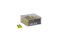 LECAR000060503
