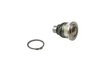 LECAR000170202
