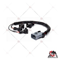 ecae50523e4fca581e4566bd1041578c